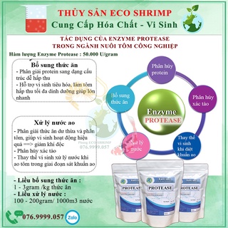500gram - Enzyme Protease - Enzyme hàng nguyên liệu # Enzyme protease