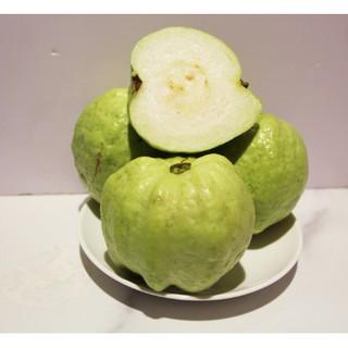 Cây giống Ổi nữ hoàng