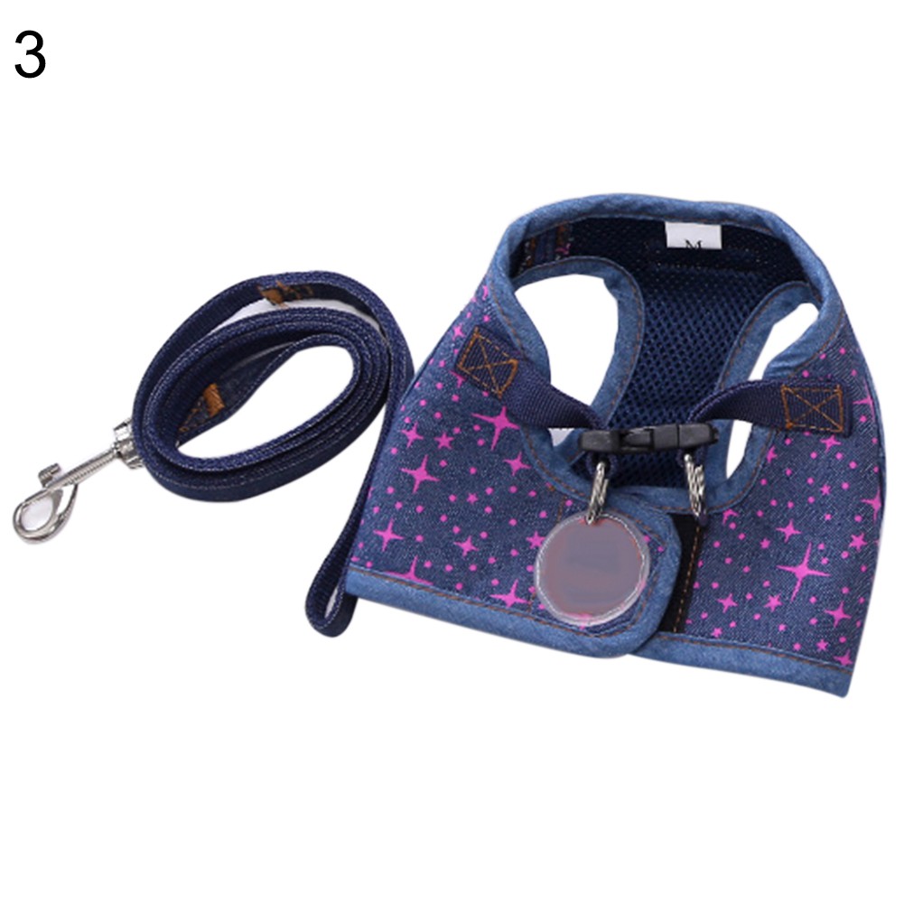 Vòng Cổ Và Dây Dắt Thú Cưng Đi Dạo Đáng Yêu