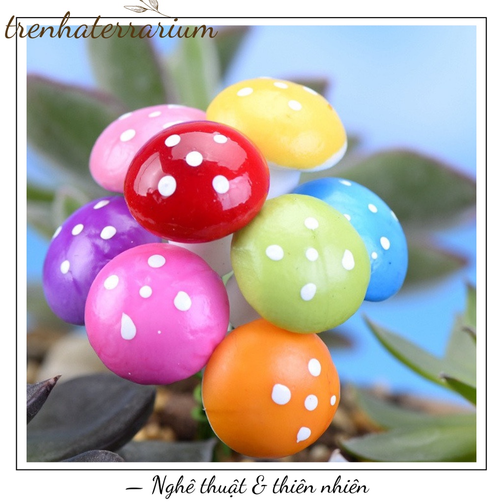 Nấm xốp trang trí sen đá, xương rồng, terrarium, charm slime, cây cảnh mini, cây để bàn, đồ trang trí