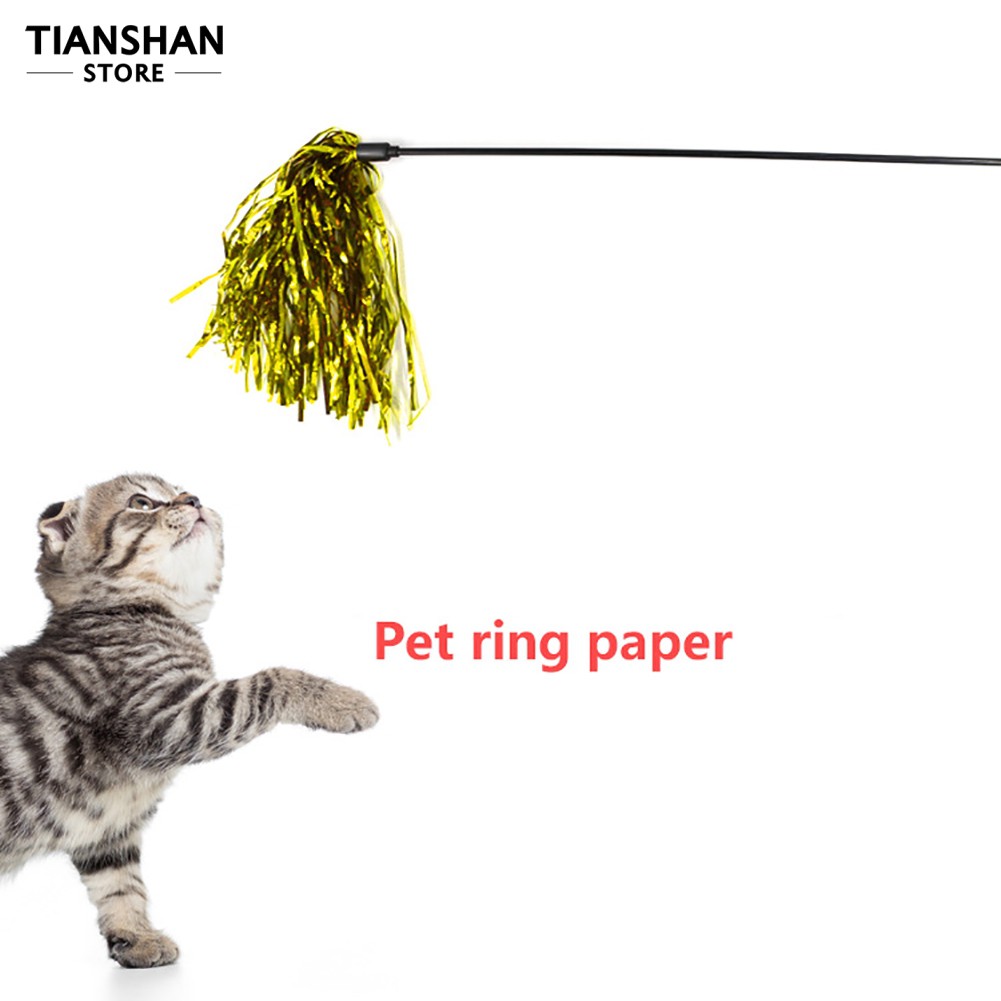 Đồ Chơi Đùa Giỡn Mèo Cưng