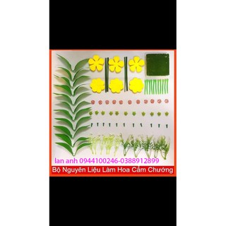 Bộ nguyên liệu hoa cẩm chướng