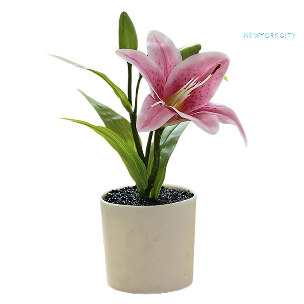 Chậu Cây Bonsai Nhân Tạo Bằng Nhựa Sống Động Dùng Trang Trí Nhà Cửa