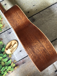 Đàn Ukulele Concert Rosen Gỗ LMN CB2