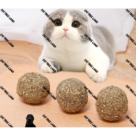 BÓNG CATNIP (CỎ BẠC HÀ) CHO MÈO, SNACK THƯỞNG MÈO, THỨC ĂN MÈO TIÊU BÚI LÔNG HAIRBALL - ĐỒ CHƠI CHÓ MÈO