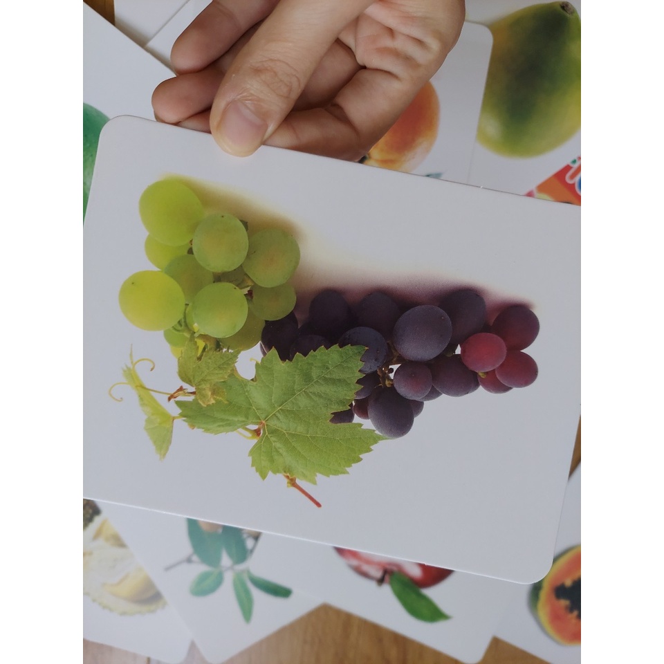 Thẻ học thông minh kích thước lớn 12x16cm chủ đề hoa quả -  Flashcard TGXQ Glenn doman chuẩn