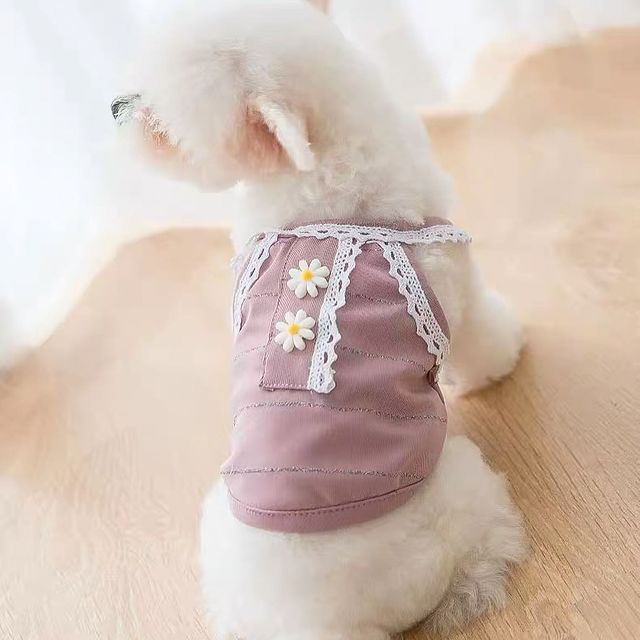 Áo Đính Hoa Cho Thú Cưng