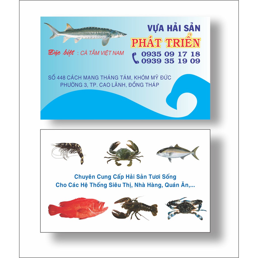 In 1000 cái danh thiếp / name card / card visit vân | BigBuy360 - bigbuy360.vn