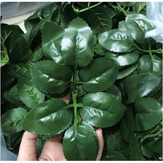 100 gr lá hóa hồng trơn( 65-70 lá)