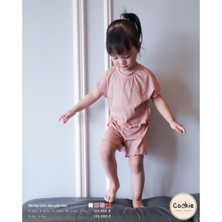 Bộ cánh dơi cuốn bèo Cookie