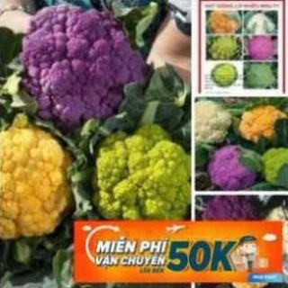 10 Hạt giống Súp lơ nhiều màu LuckyseadTG