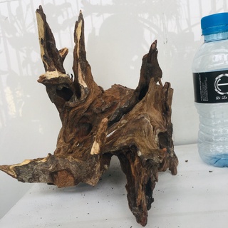 Gỗ lũa thủy sinh, lũa bể cá, lũa làm bonsai siêu đẹp, kích thước lớn 4095