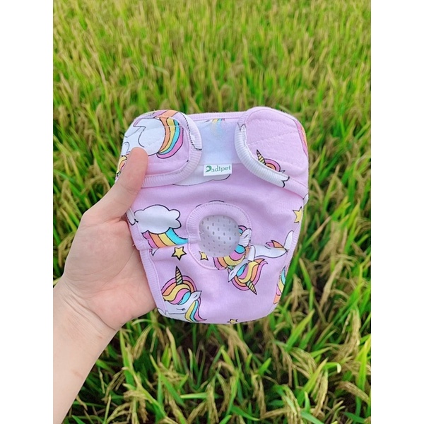 Quần sinh lý cho chó cái Dadipet