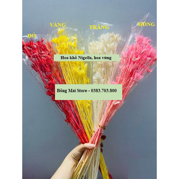 Hoa khô trang trí decor các loại cỏ lau, hoa ngọc lan, nigella decor