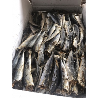 2kg cá nục khô nhạt