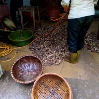 Tinh bột nghệ 1kg