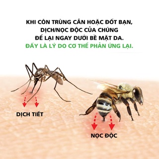 Công cụ hút nọc độc côn trùng Bug Bite Thing
