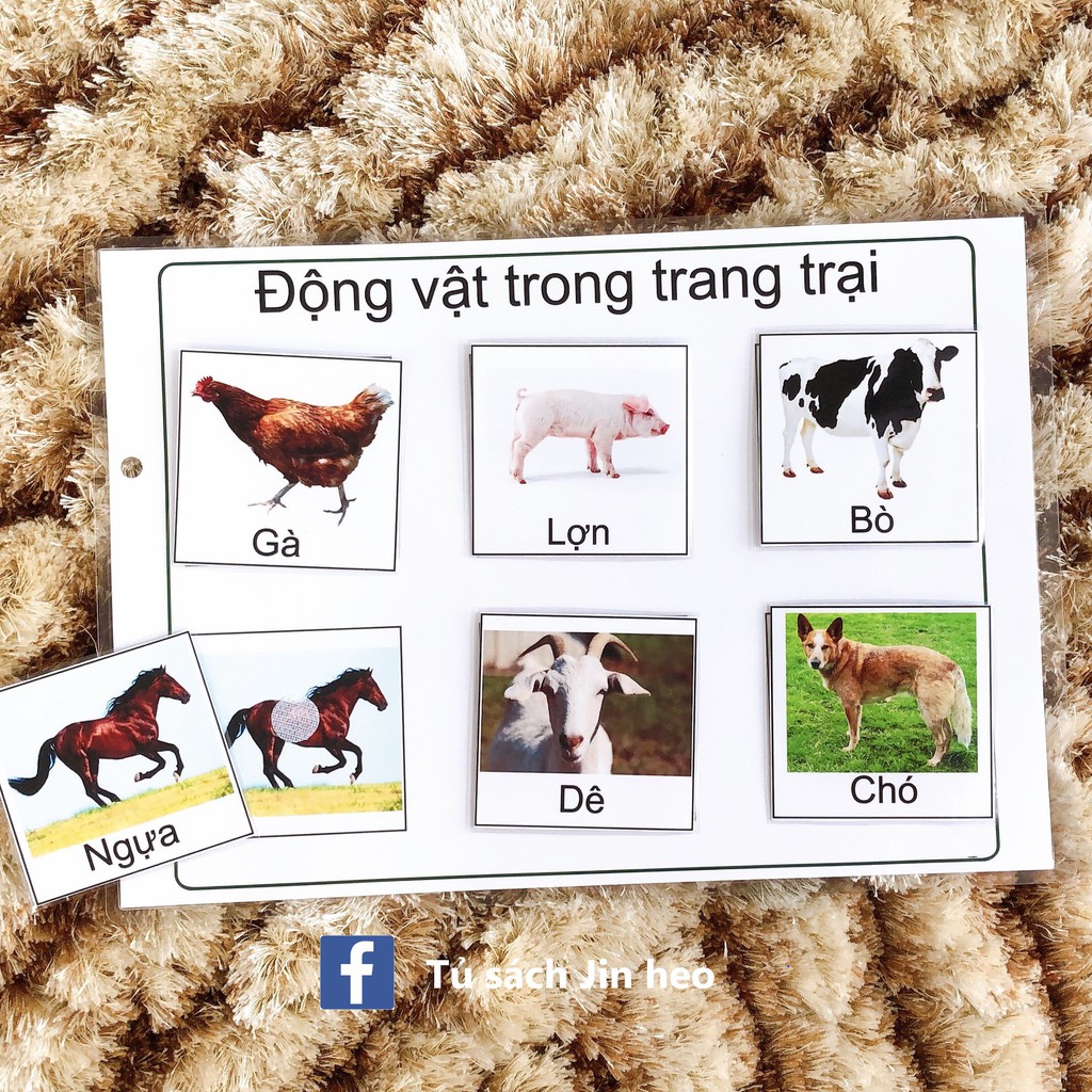 ❤ HỌC LIỆU cho bé] NHẬN BIẾT - Học liệu Montessori bóc dán, giúp bé phát triển tư duy