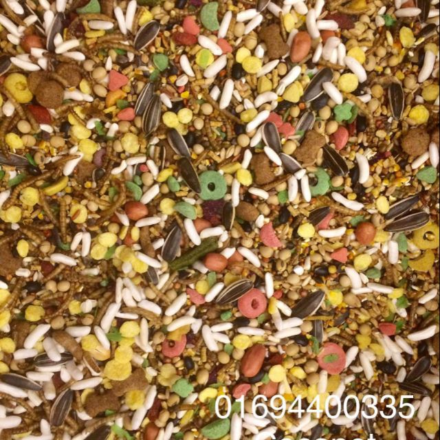 Thức ăn vip (1 kg)