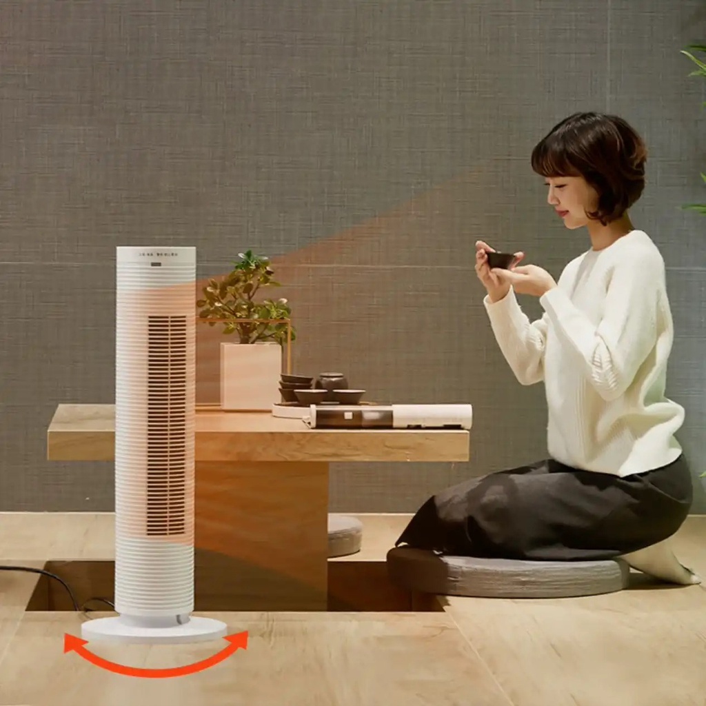 Quạt sưởi 2 chiều, máy sưởi 2 chiều, máy sấy quần áo Panasonic DS-P2013CW