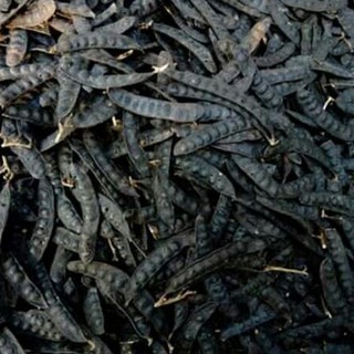 200G QUẢ BỒ KẾT KHÔ LOẠI ĐẸP