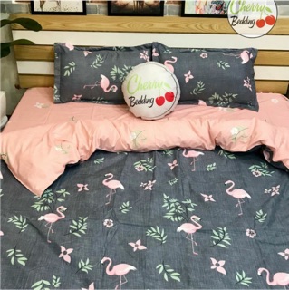 Bộ ga gối polly hạc hồng