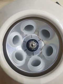 Máy ly tâm 6 ống