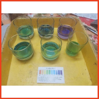 Combo 4 lọ dung dịch thử độ Ph 10ml