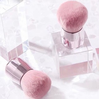 Cọ Phủi Bụi Móng-Màu Sắn Giao Ngẫu Nhiên