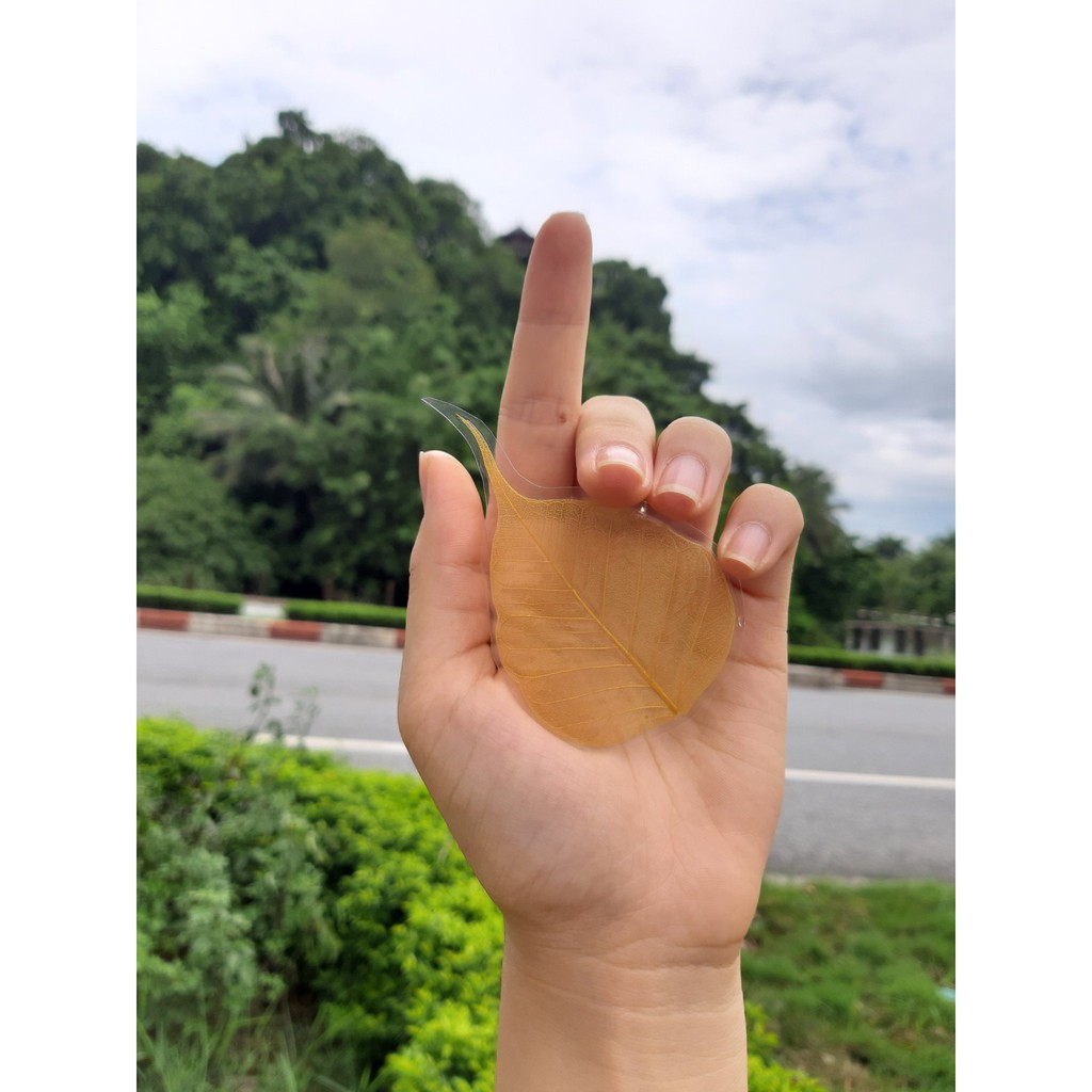 Combo 10 Lá Bồ Đề dát vàng ốp điện thoại | BigBuy360 - bigbuy360.vn