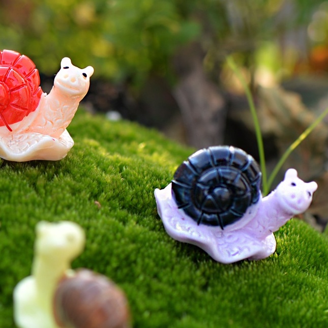 ỐC sên trang trí tiểu cảnh,  nhà mô hình /terrarium