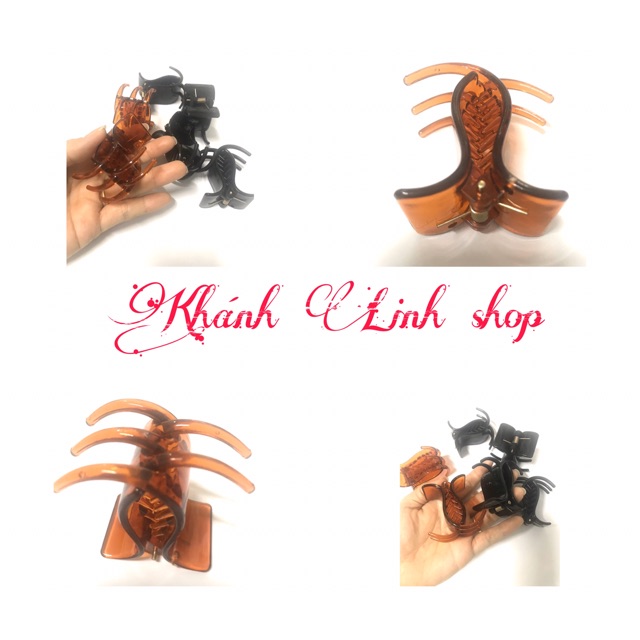 Kép tóc cành cua 5 răng