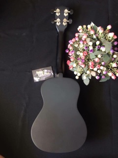 Đàn ukulele concert