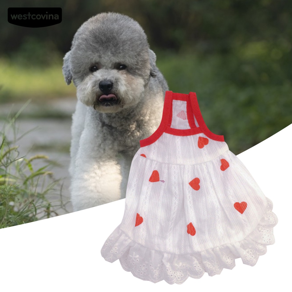 (MớI) Đầm Hai Dây Có Thể Giặt Cho Thú Cưng