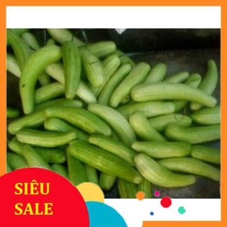 Hạt Giống Dưa Gang Xanh Qủa Dài (150 Hạt) - [MUA 3 TẶNG 1 CÙNG LOẠI] - Thơm Ngon, Năng Suất Cao