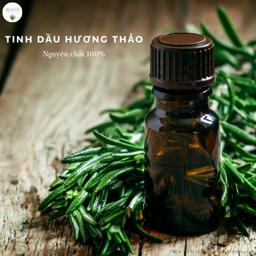 Tinh dầu Hương Thảo thiên nhiên 30ml làm nến thơm, xà phòng, xông tinh dầu