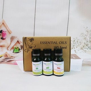 Combo 3 chai tinh dầu sả chanh, bạc hà, quế 10ml