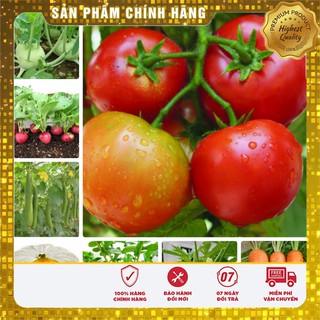 -15k Combo rau củ thu đông 2018