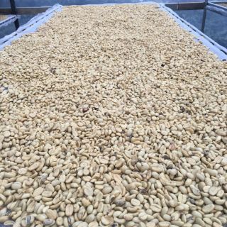 500gr cà phê Đà Lạt