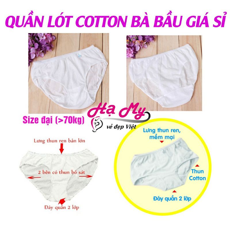 Quần Lót Giấy Bầu Cotton nữ size 5XL | Giá 30.000 cho 5 quần | Đáy Quần 2 Lớp| Hạ My Việt