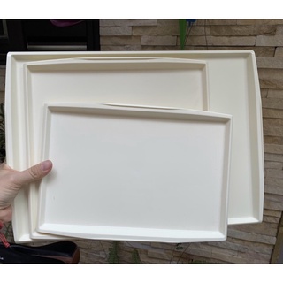Khay nhựa trắng chất đẹp 17x27