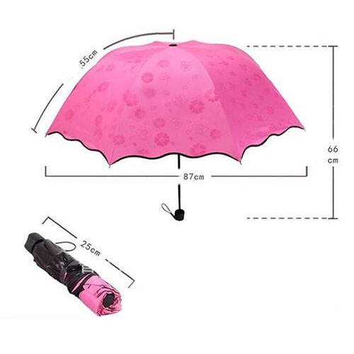 DÙ  GẶP NƯỚC NỞ HOA _ Giá Bán Sỉ Lẻ