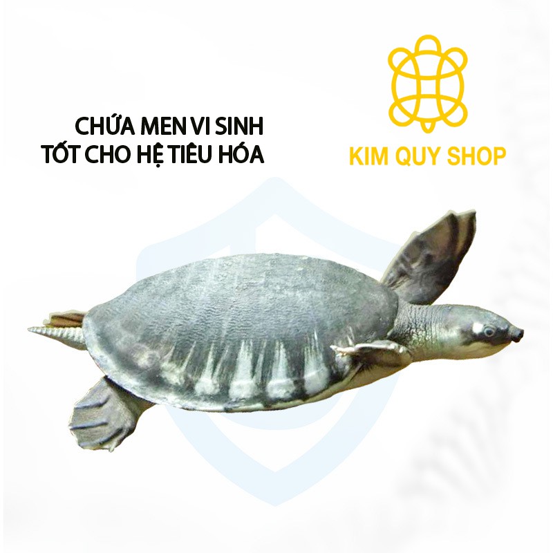 Thức ăn chìm dành cho rùa
