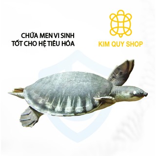 Thức ăn chìm dành cho rùa
