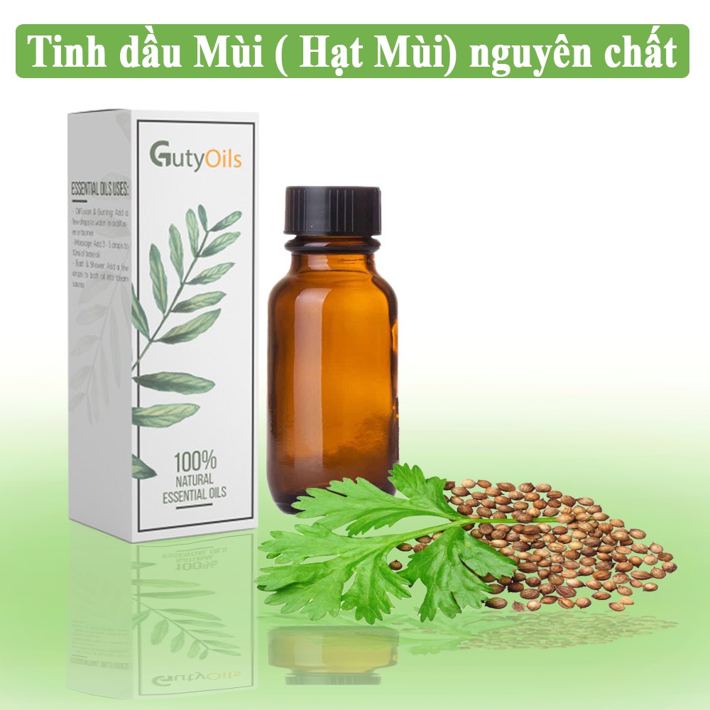 Tinh dầu hạt mùi nguyên chất GUTY