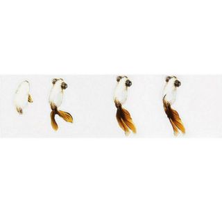 Miếng dán 3d làm bể cá cảnh