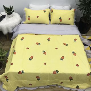 Bộ drap cotton đũi full mền