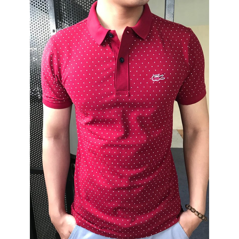 Áo Thun Nam có cổ chấm bi cá sấu Áo phông nam cổ bẻ chất liệu cotton co giãn form đẹp | BigBuy360 - bigbuy360.vn