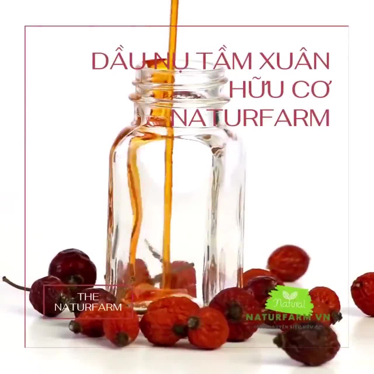Dầu nụ tầm xuân organic 15ML ( Rose Hip Oil ) dưỡng da chuyên sâu | BigBuy360 - bigbuy360.vn