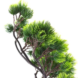 cành cây tùng nhựa